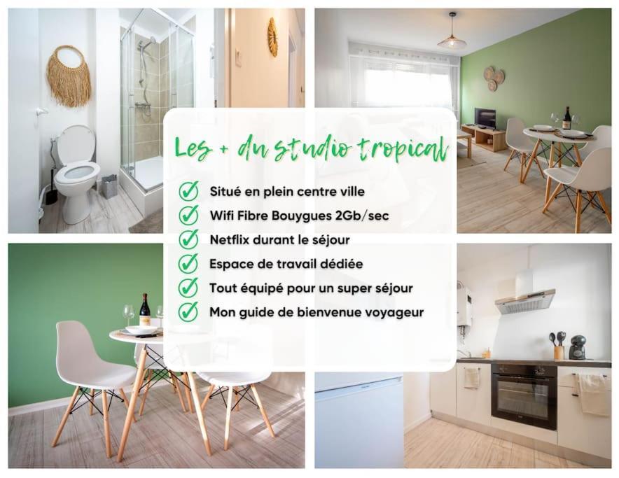 Le Studio Tropical Chalon-sur-Saône Exteriör bild